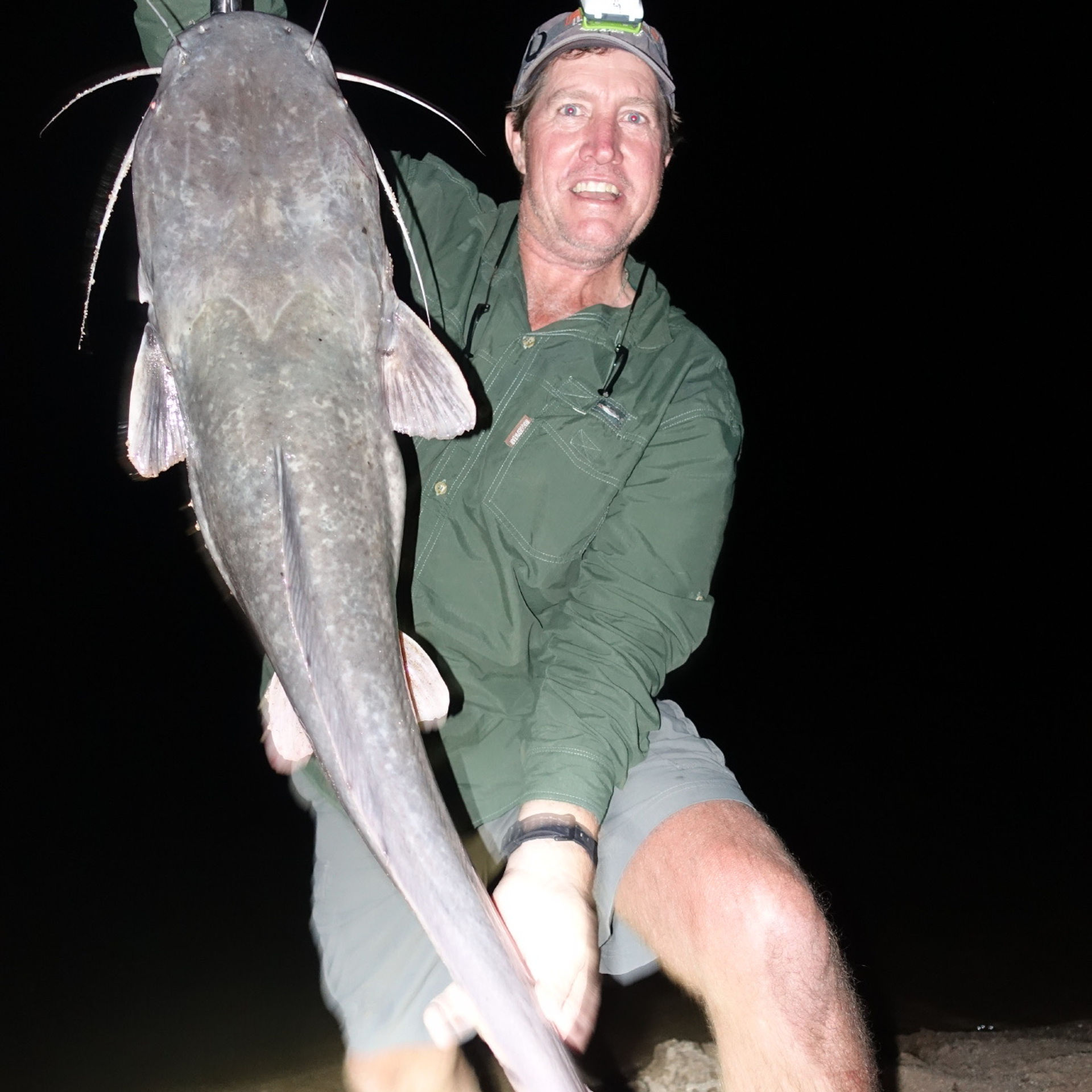 Night fishing — sharptooth catfish
