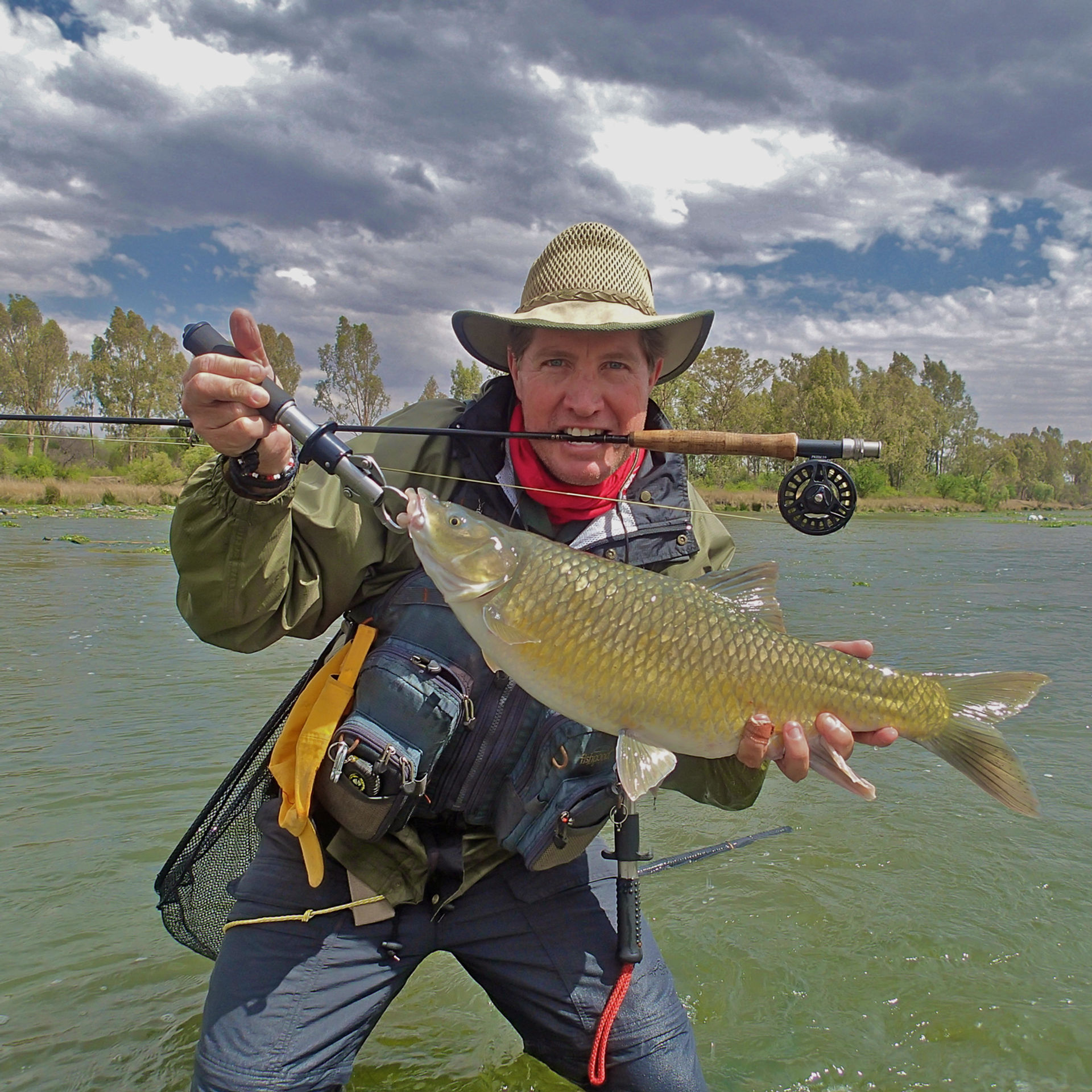 Largemouth yellowfish on the Vaal