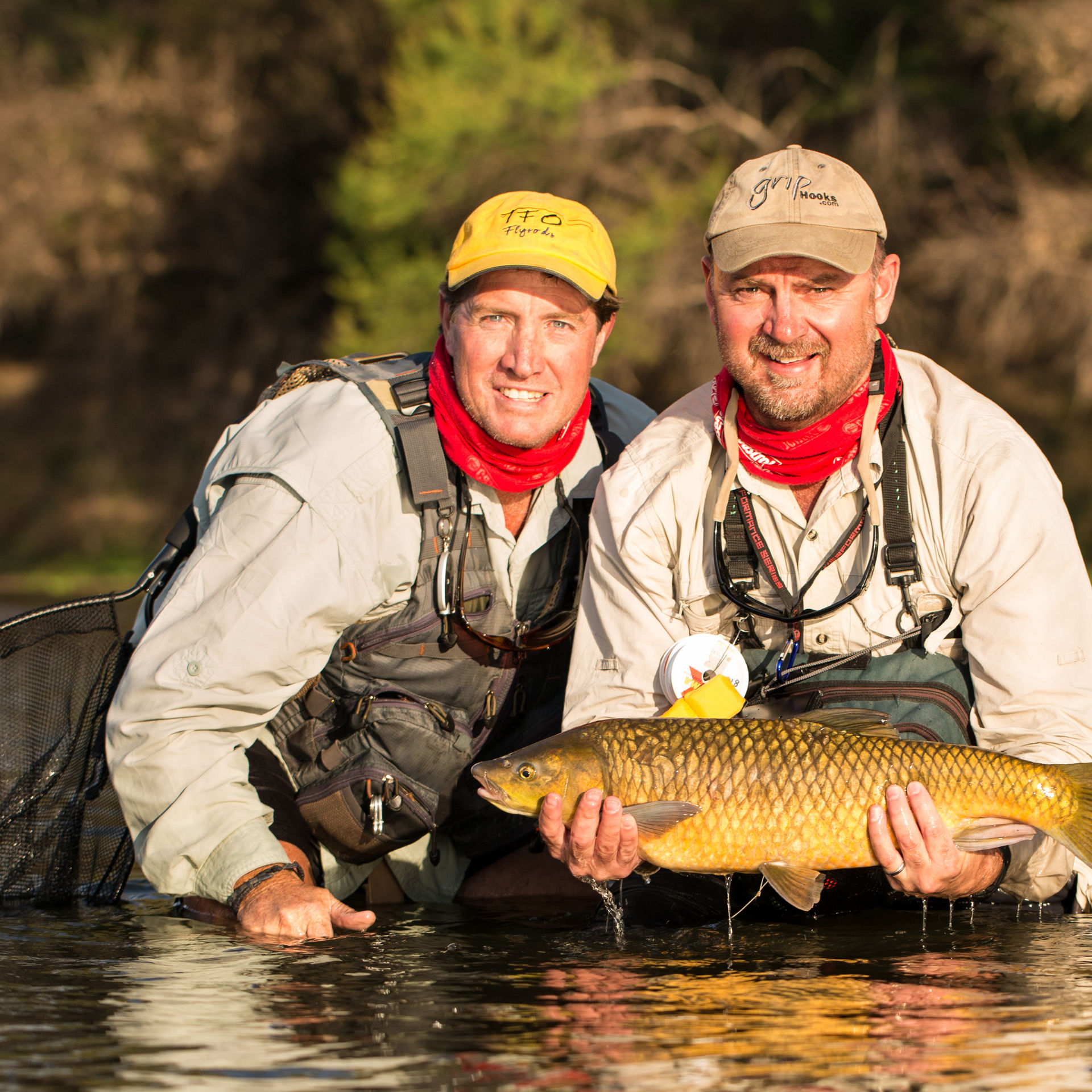 Smallmouth yellowfish landed on the fly